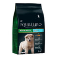 Equilibrio Medium Breed Puppy