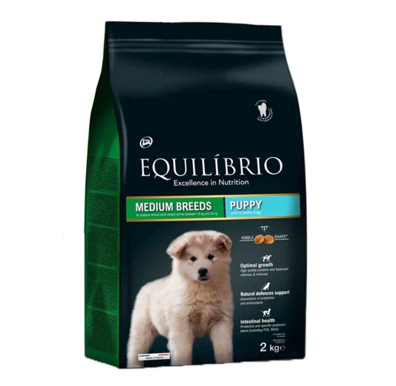 Equilibrio Medium Breed Puppy