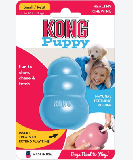 kong puppy